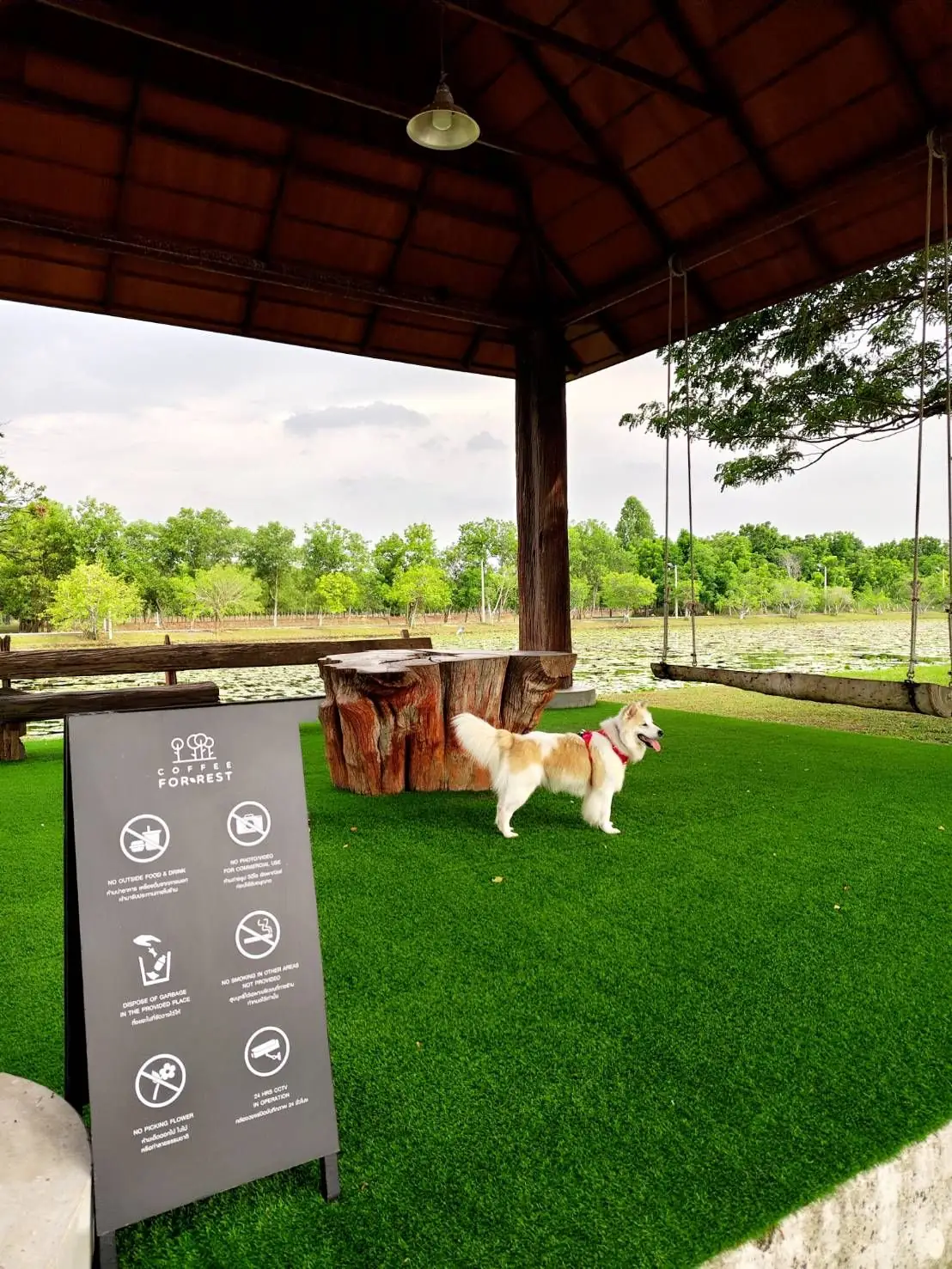 Coffee For Rest - Chachoengsao pets image 3