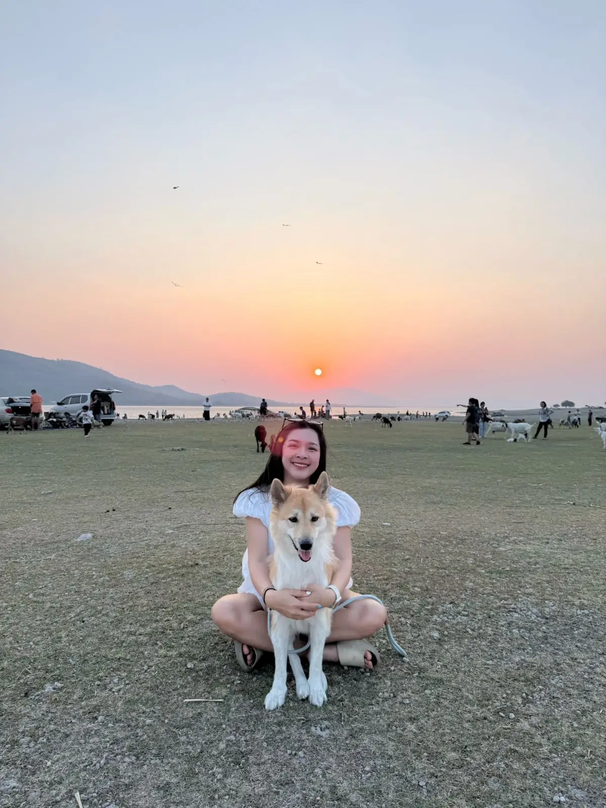 นิวซีแลนด์เมืองไทย บ้านท่าฤทธิ์ pets image 3