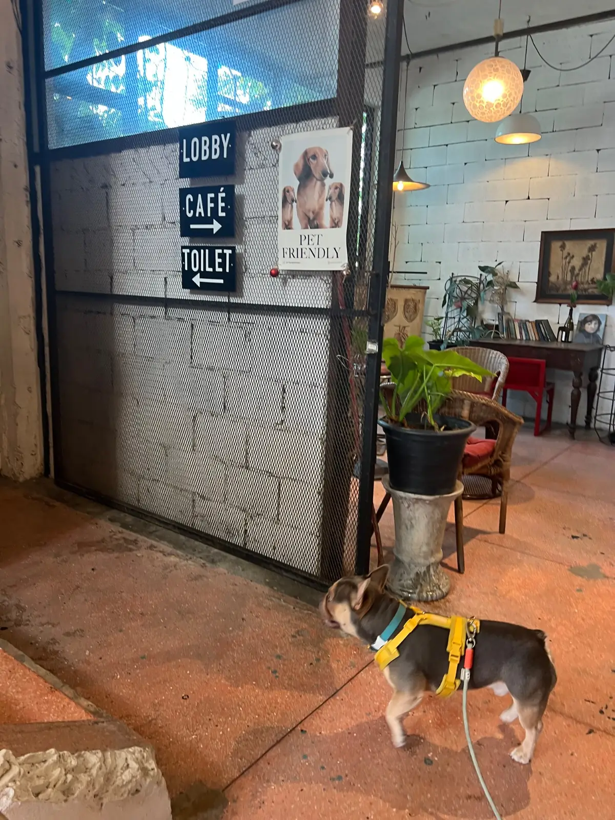 Hand hotel pets image 1