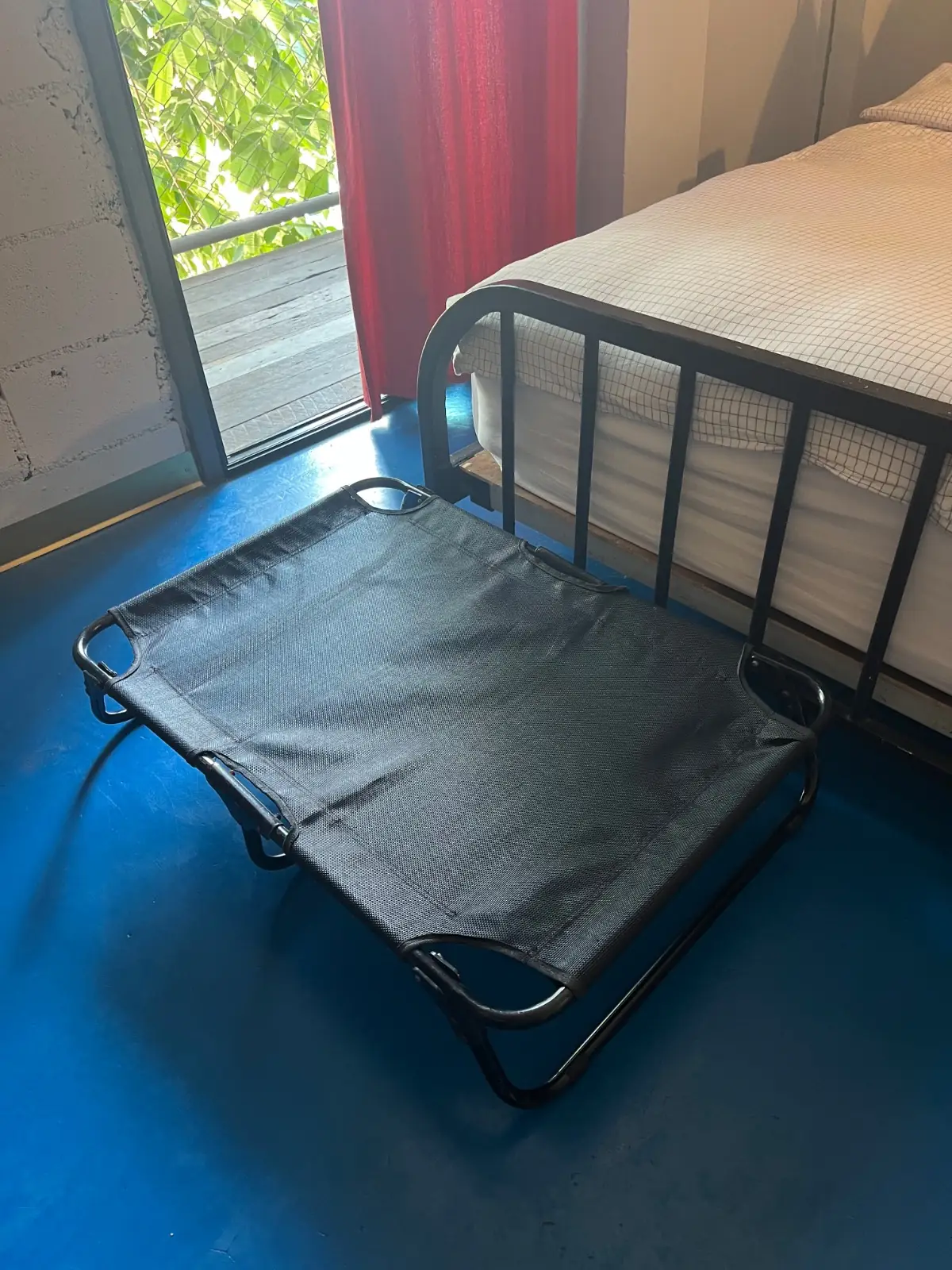 Hand hotel pets image 4