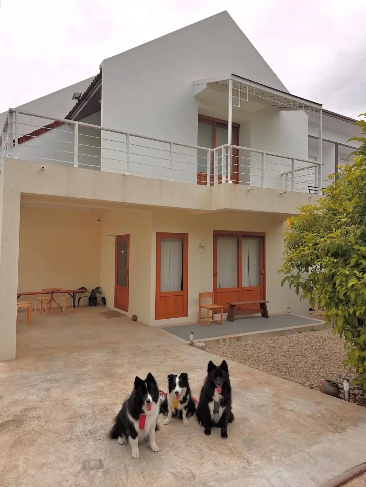 MOOH House pets image 1