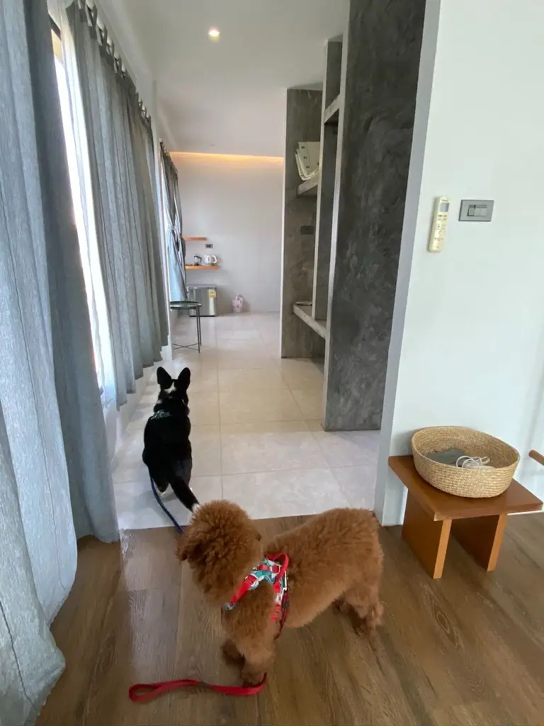 Chevin Khaoyai rooms image 1