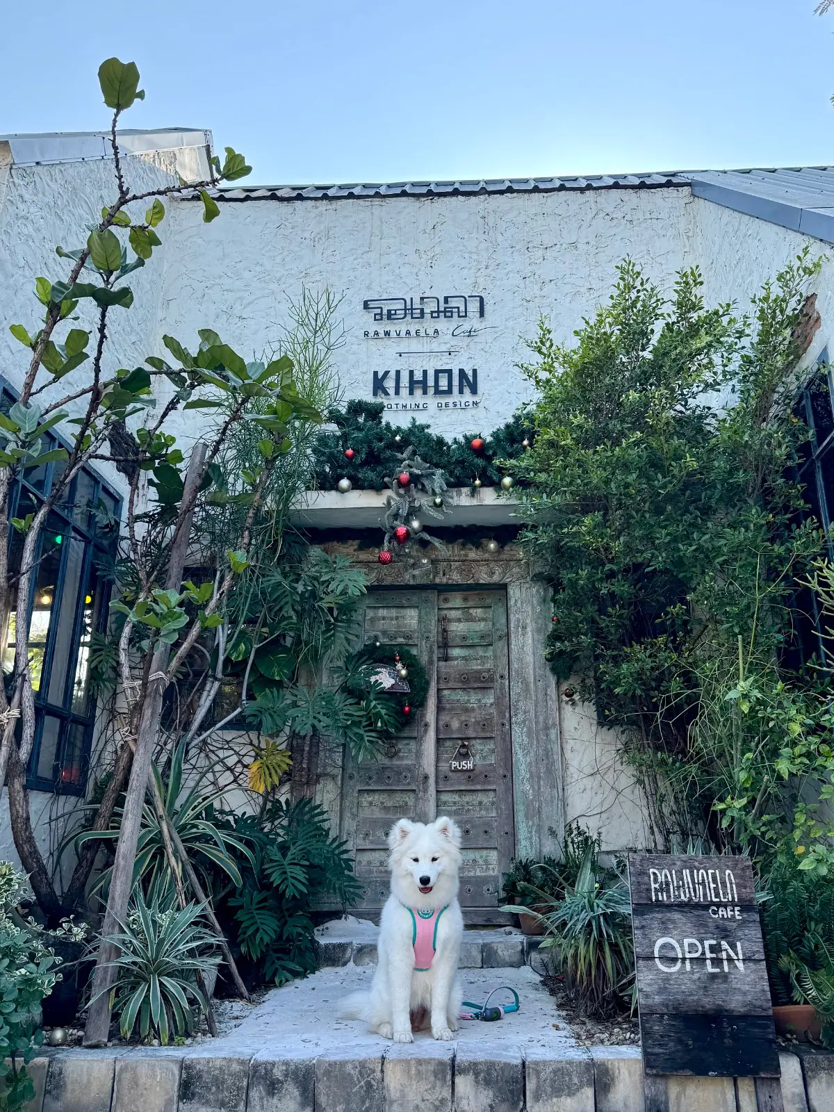 Rawvaela Cafe pets image 5