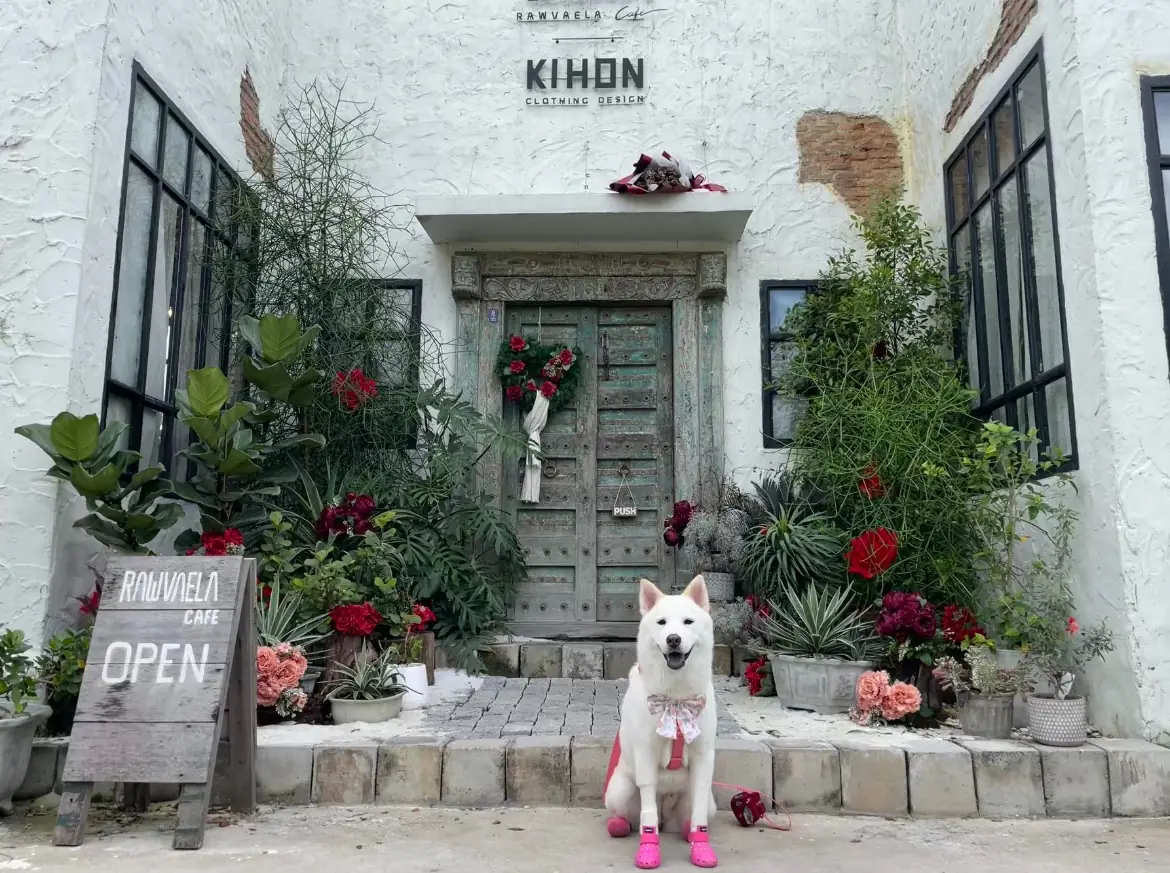 Rawvaela Cafe overall image 1