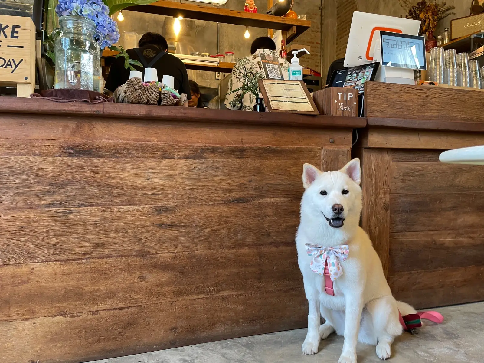 Rawvaela Cafe pets image 8