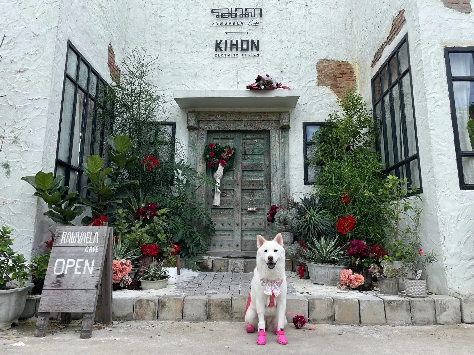 Rawvaela Cafe pets image 6