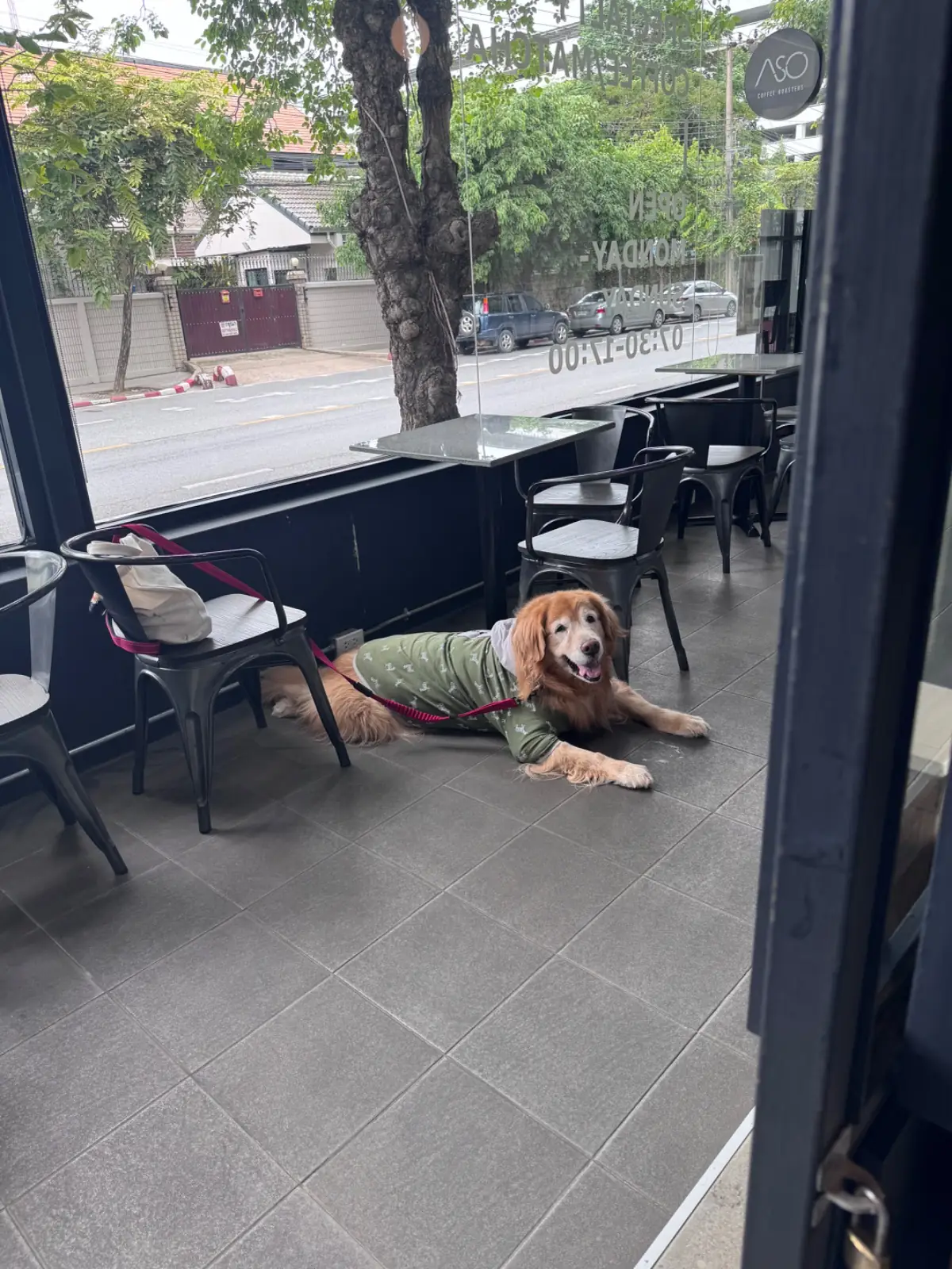 Aso Coffee Roasters pets image 2