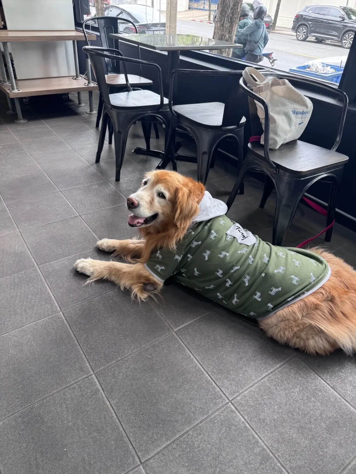 Aso Coffee Roasters pets image 1