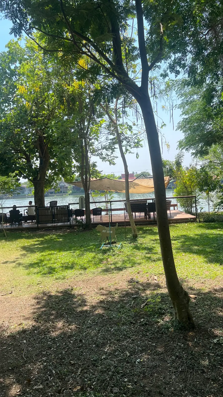 Somdul Bee Sanctuary pets image 5