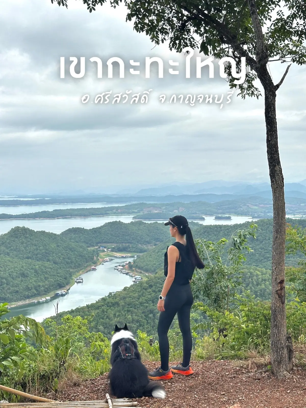 เขากะทะใหญ่ pets image 1