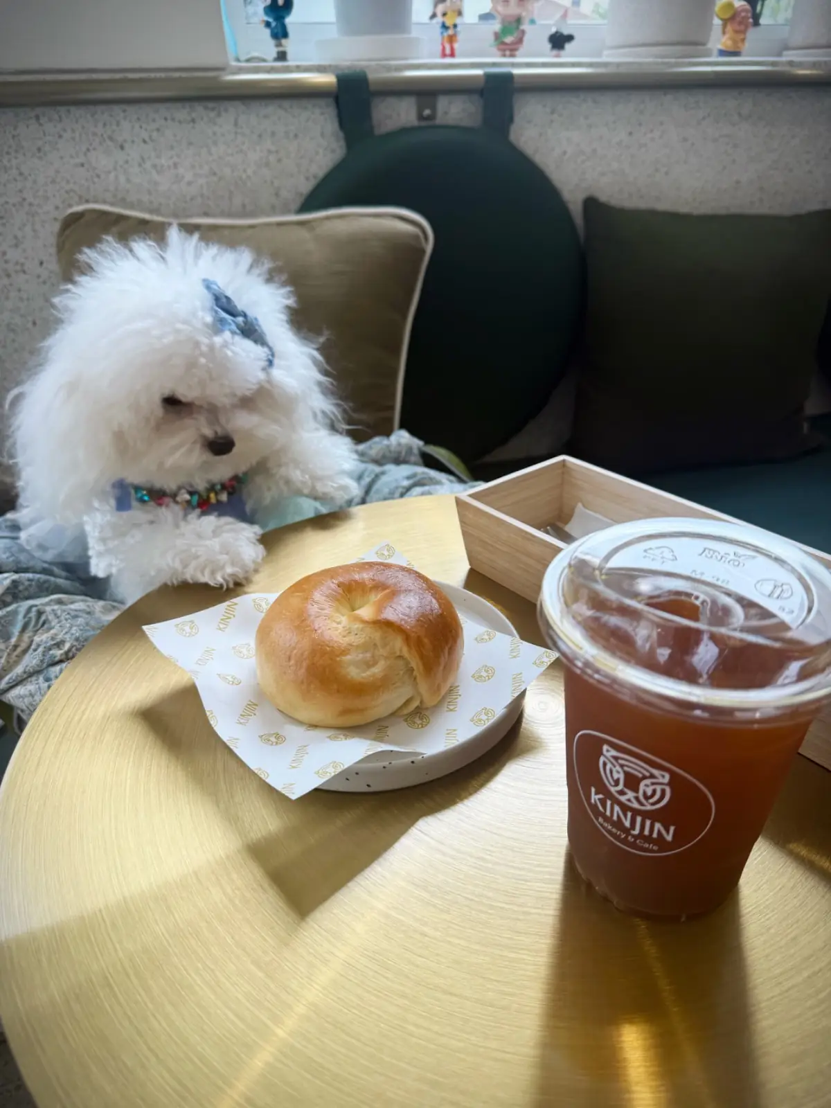 KINJIN Cafe pets image 5