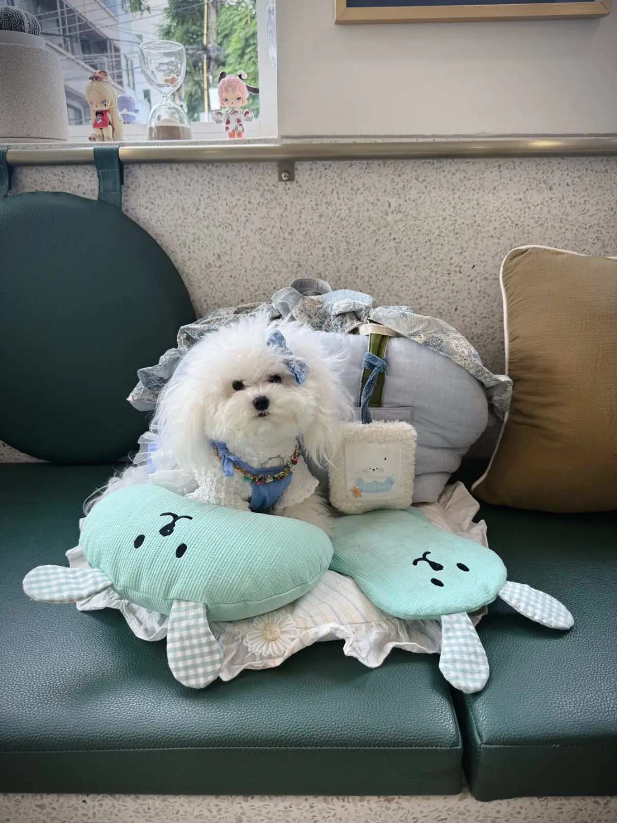 KINJIN Cafe pets image 3