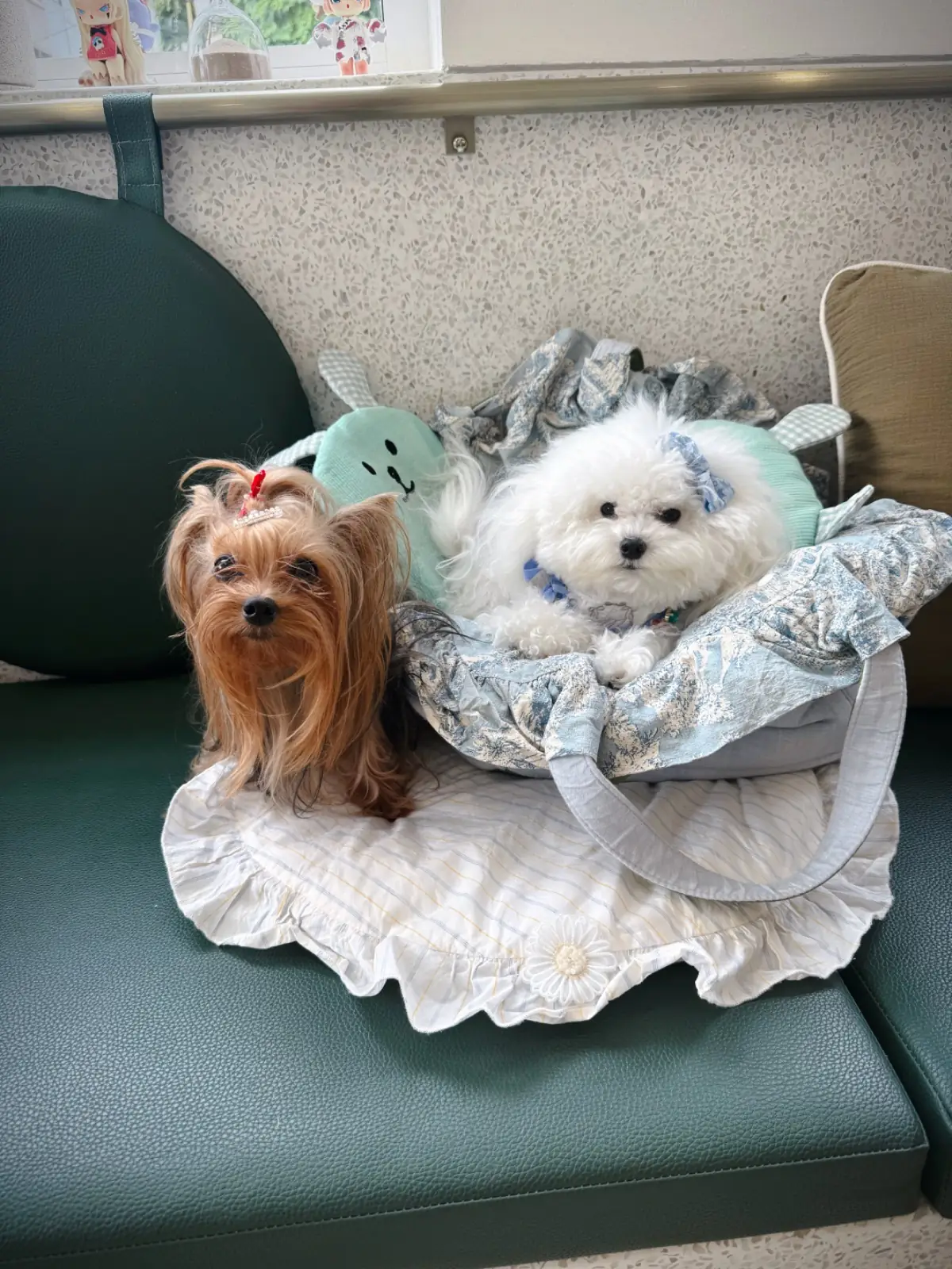 KINJIN Cafe pets image 1