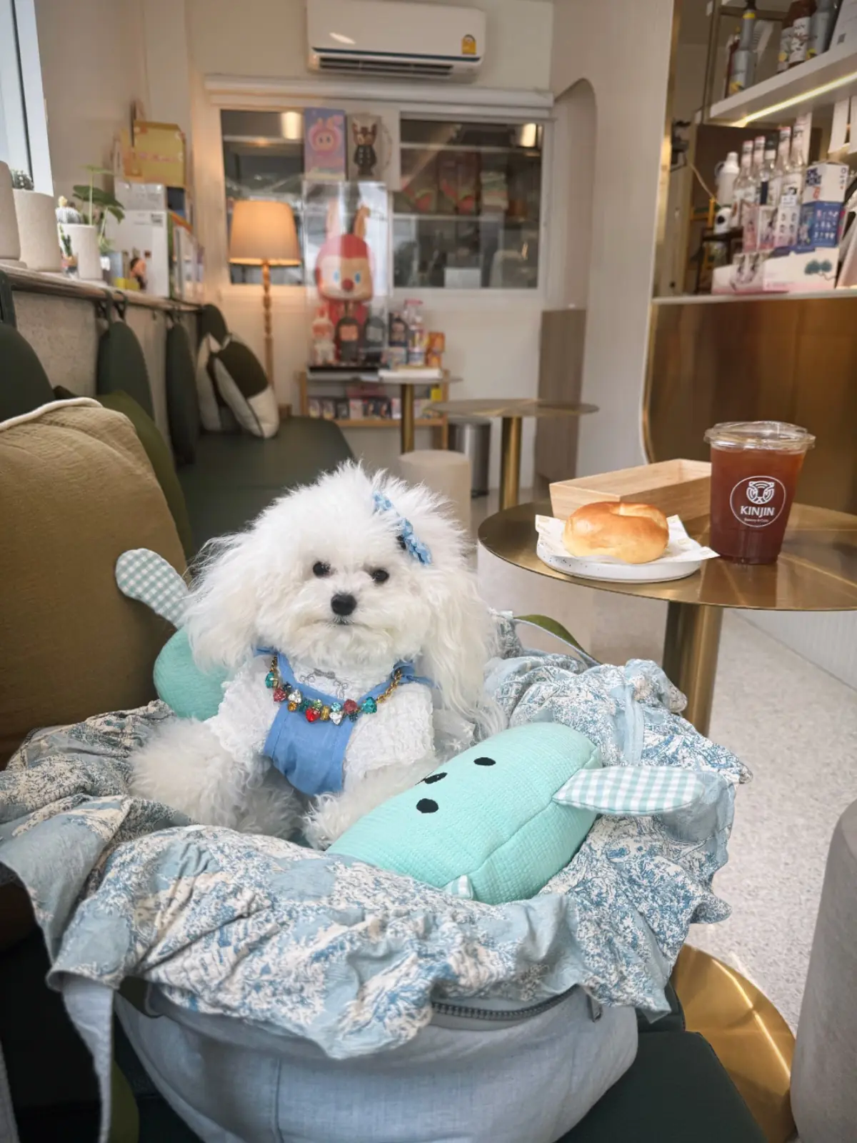 KINJIN Cafe pets image 4