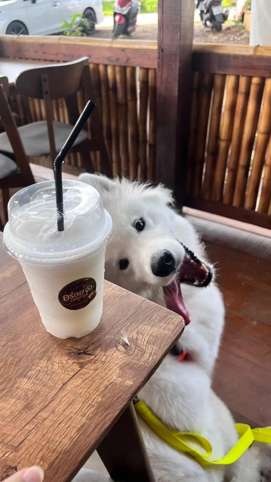 ไอร่เต้า ปลา กุ้ง & อร่อยจัง food image 1