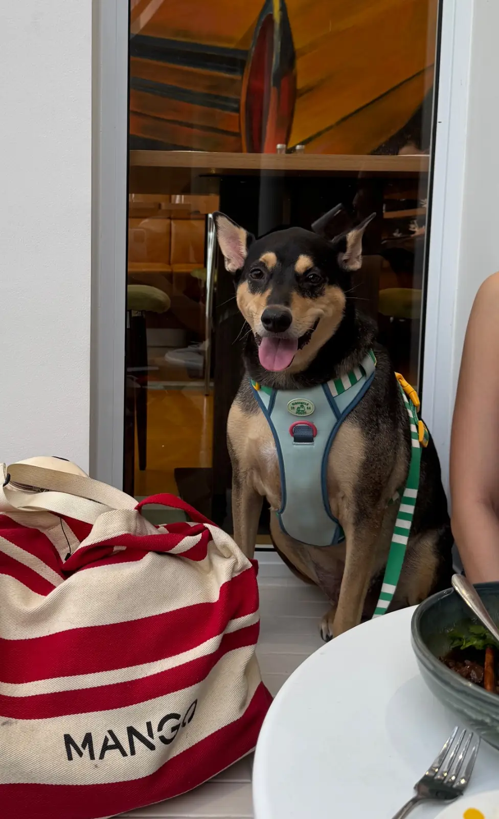 BK Salon Bangna pets image 1