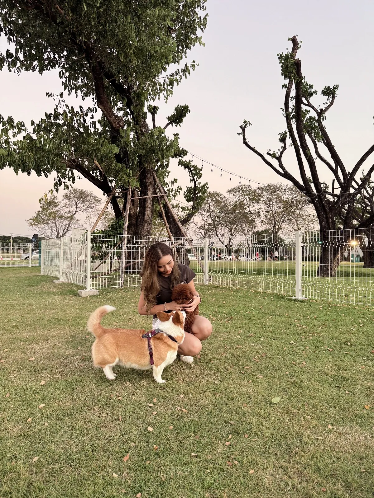 BK Salon Bangna pets image 5