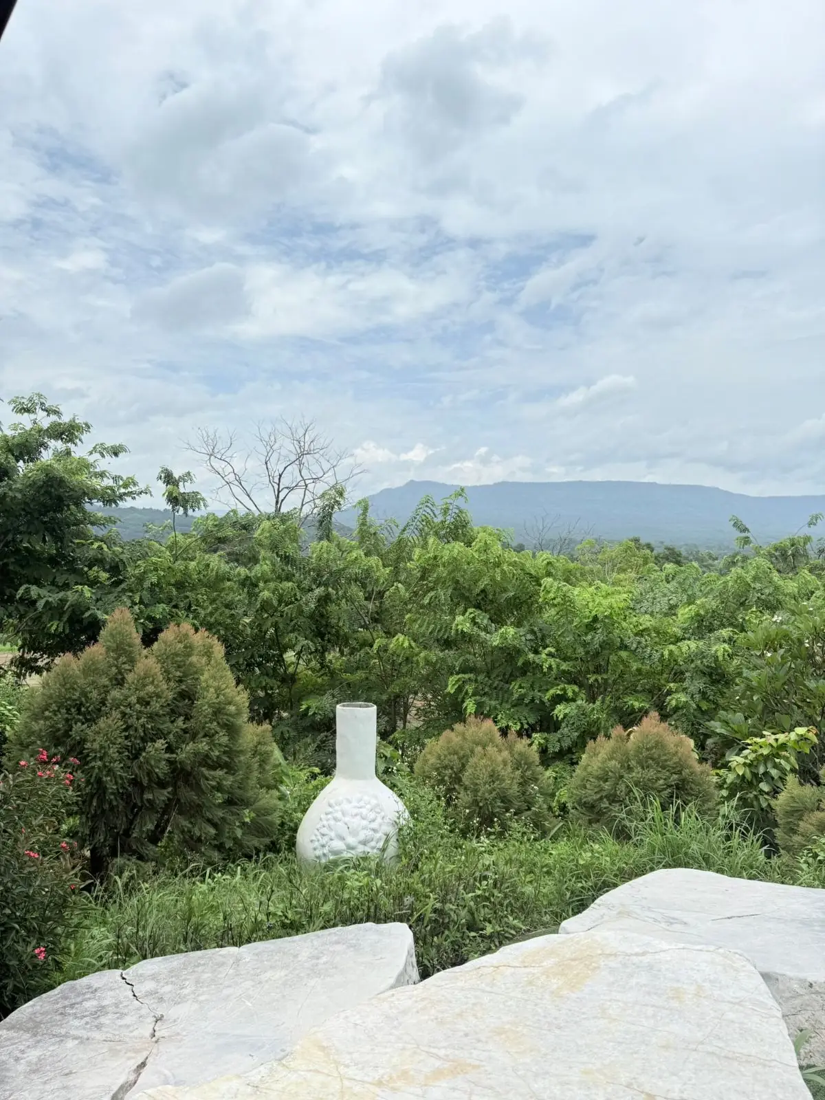 Ravin Home Cafe overall image 1