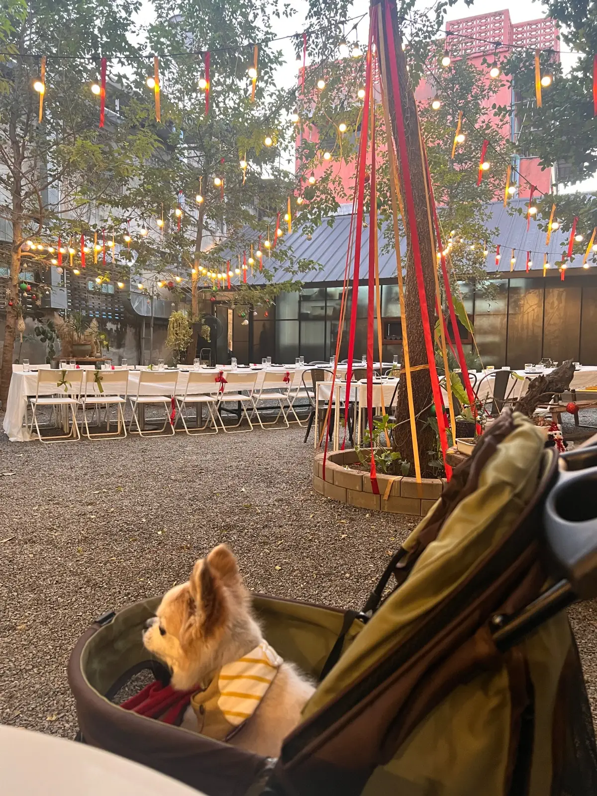 And Then pets image 1