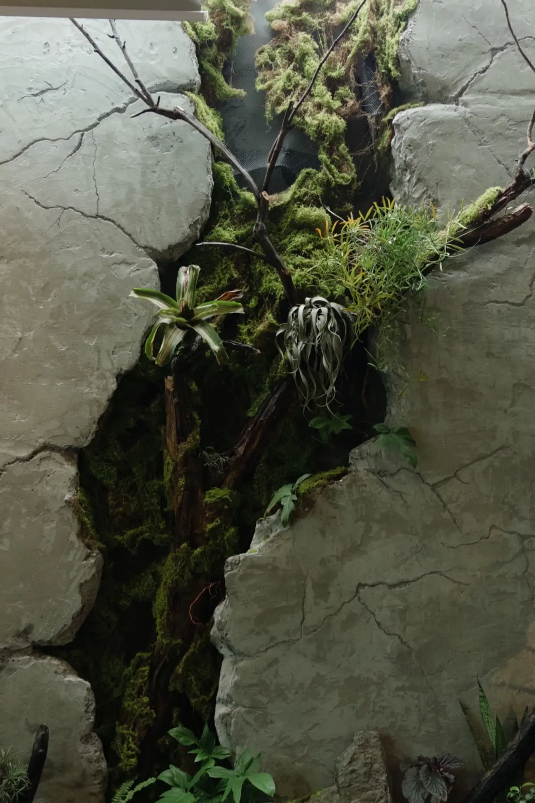 Ugly Project overall image 4