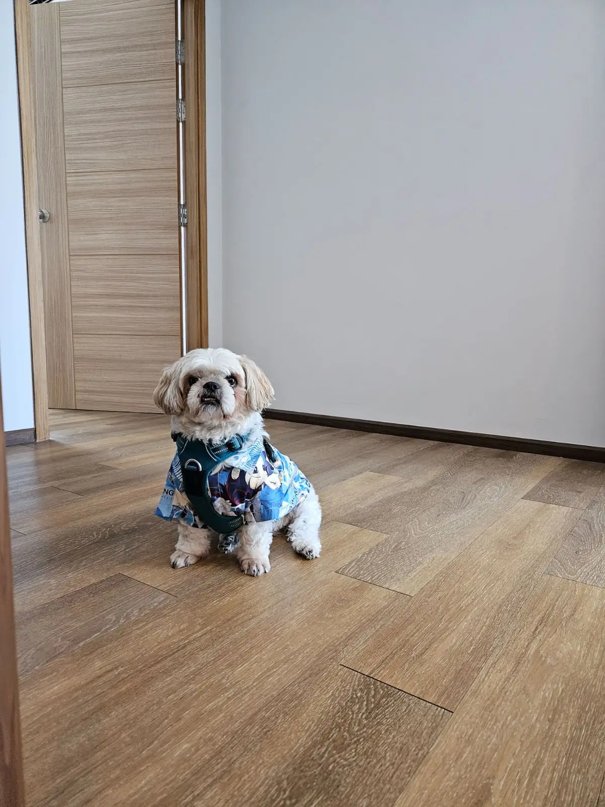 Oakwood Hotel & Residence Sriracha pets image 1