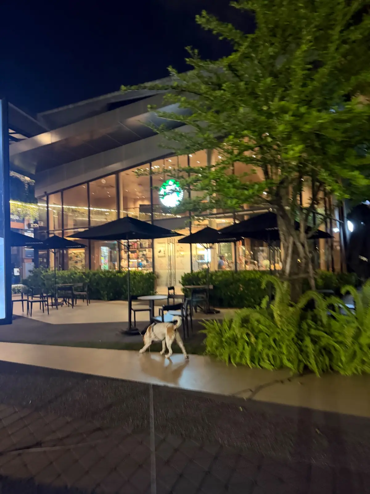 Mont Calzone Bangkok - Habito Mall ambiance image 2