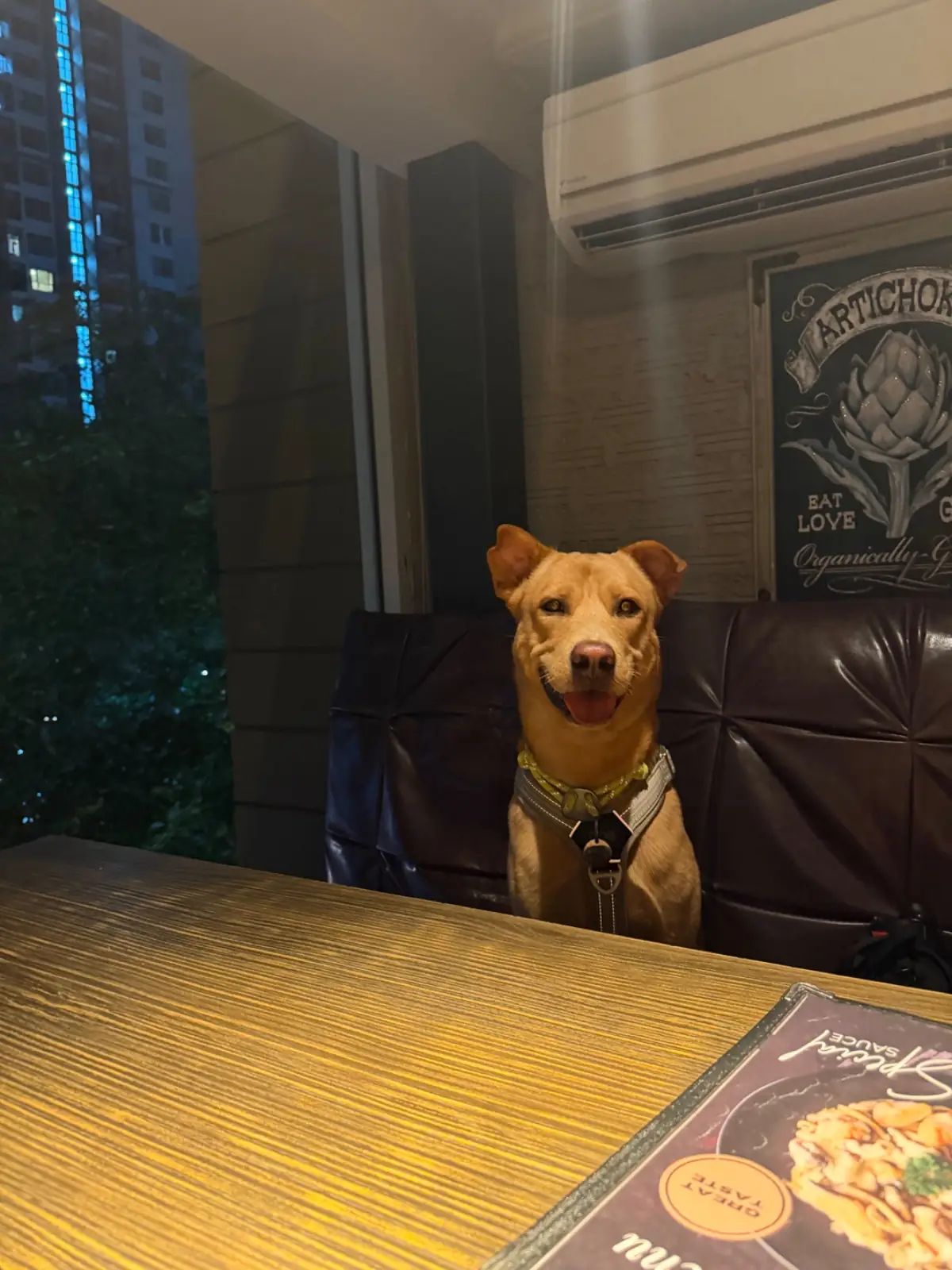 Mont Calzone Bangkok - Habito Mall pets image 1