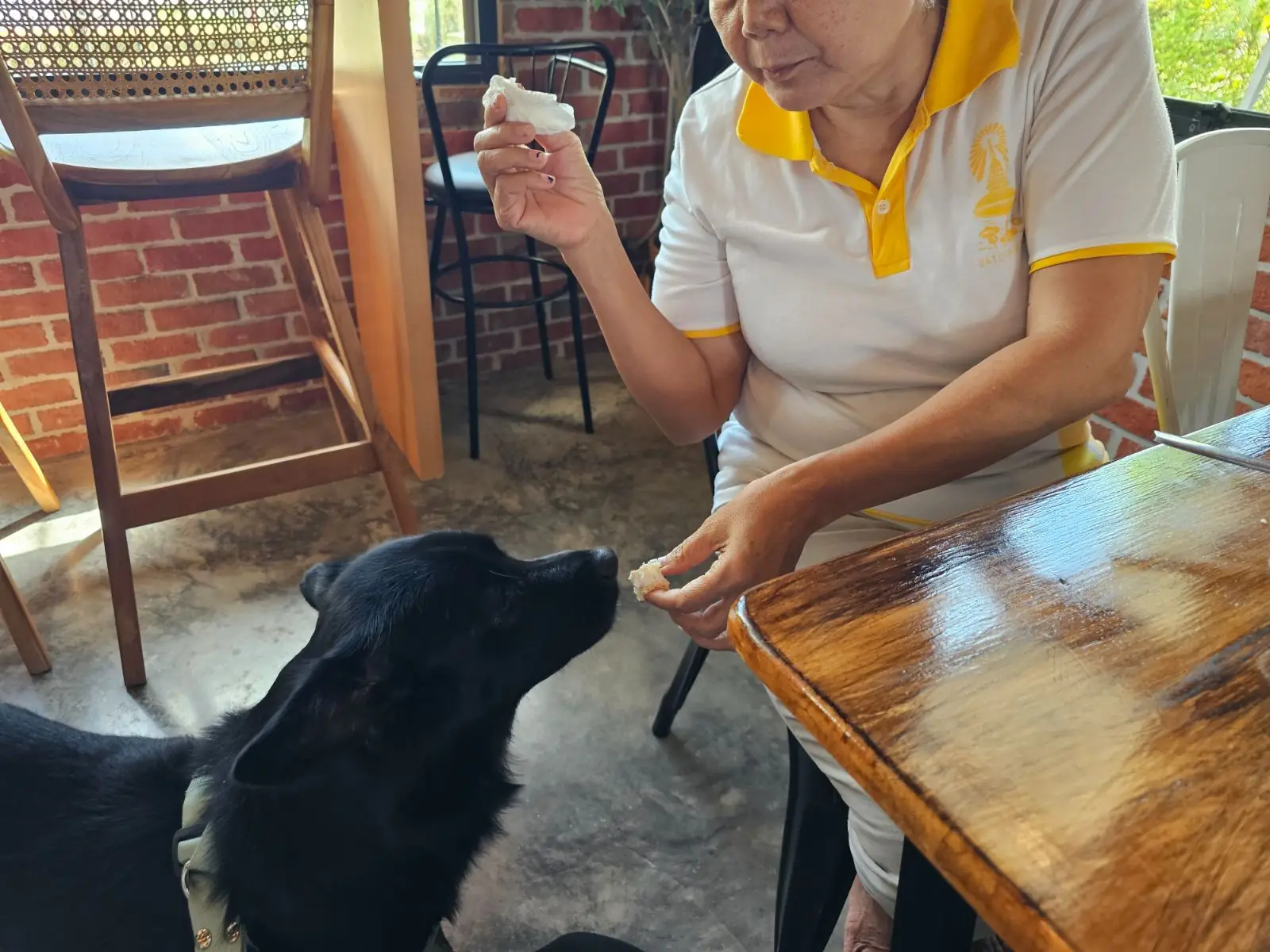เลิฟคัพส์ คาเฟ่ & สตูดิโอ pets image 1
