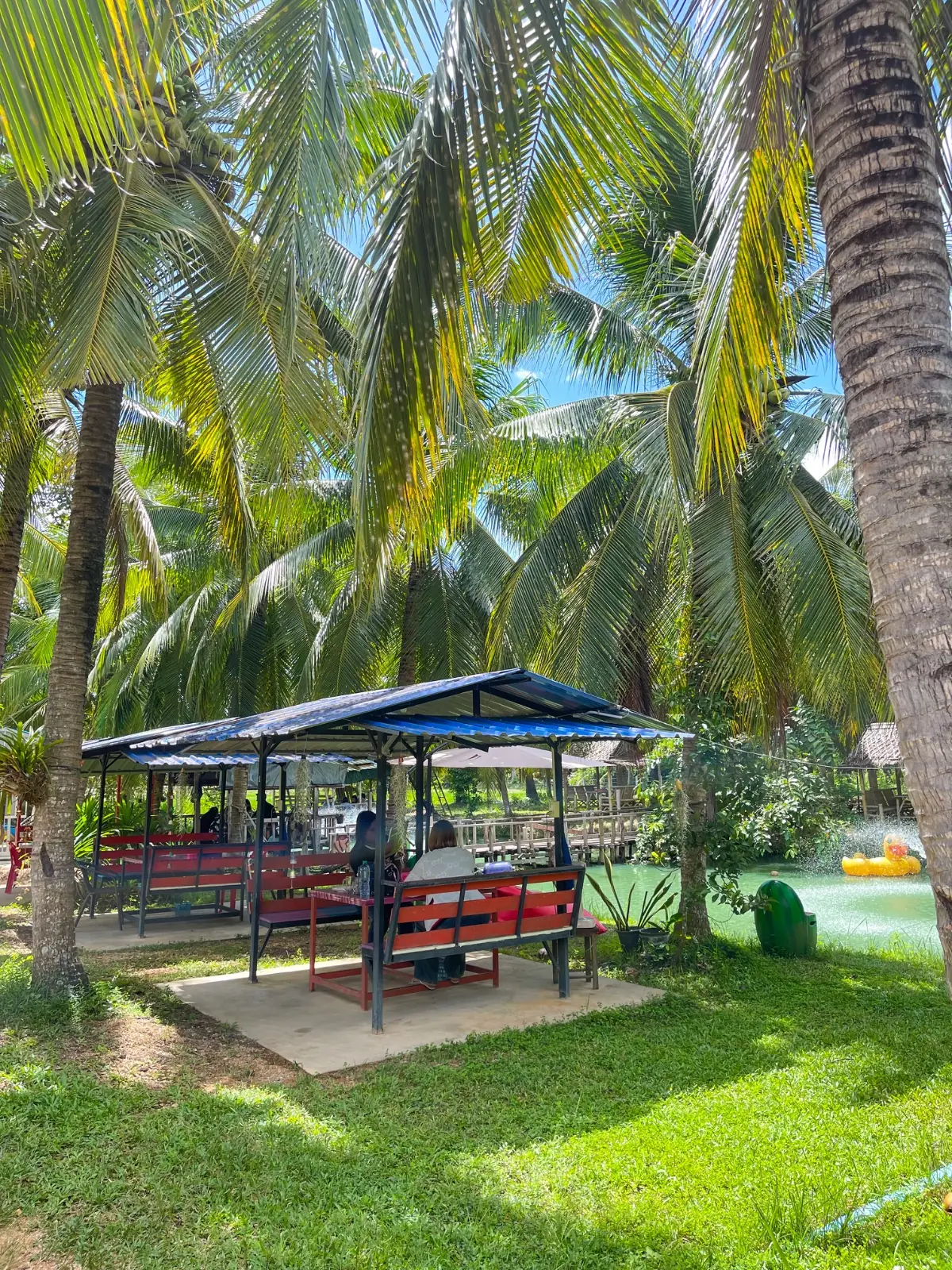 สวนมะพร้าวน้ำหอมป้ายงค์ & Coco Cafe ambiance image 1