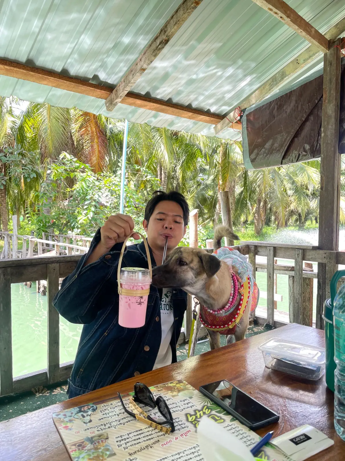 สวนมะพร้าวน้ำหอมป้ายงค์ & Coco Cafe pets image 1