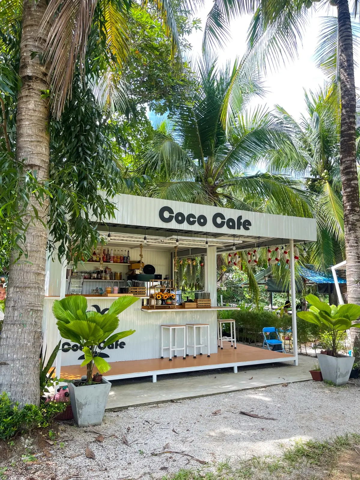 สวนมะพร้าวน้ำหอมป้ายงค์ & Coco Cafe hero image 2