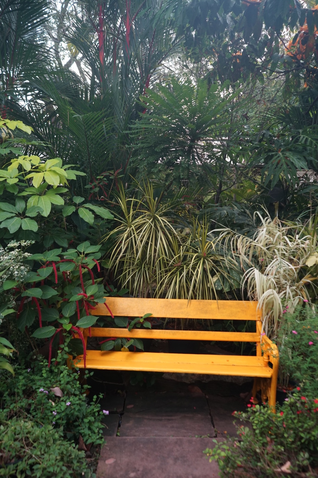 Humming Birds ambiance image 11