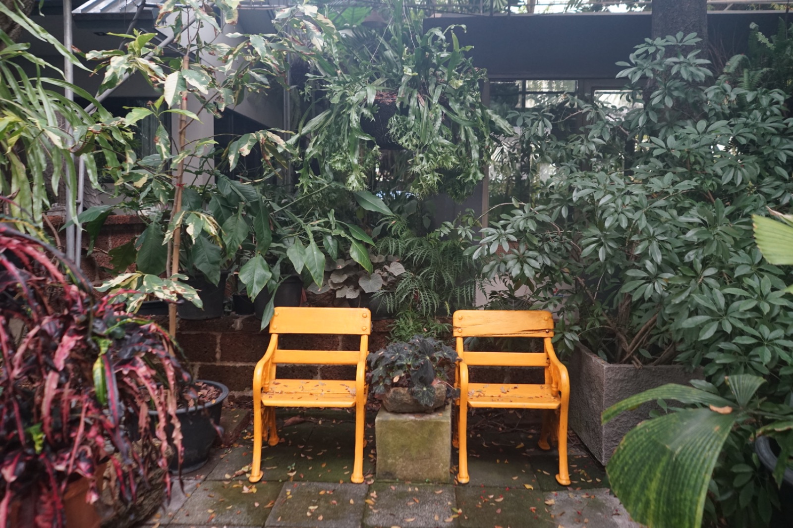 Humming Birds ambiance image 12