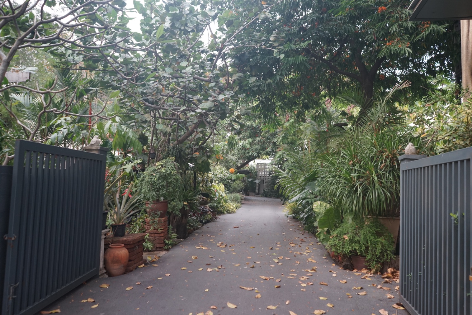 Humming Birds ambiance image 6