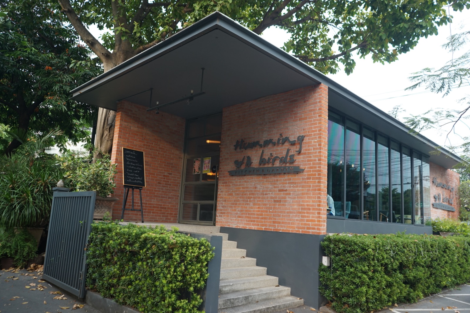 Humming Birds ambiance image 1