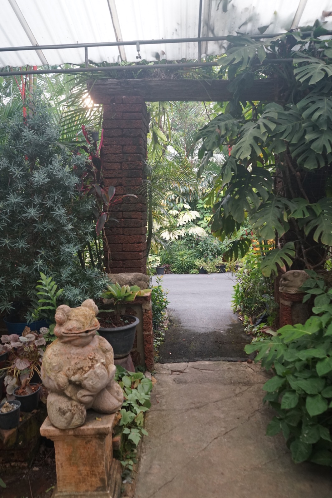 Humming Birds ambiance image 10