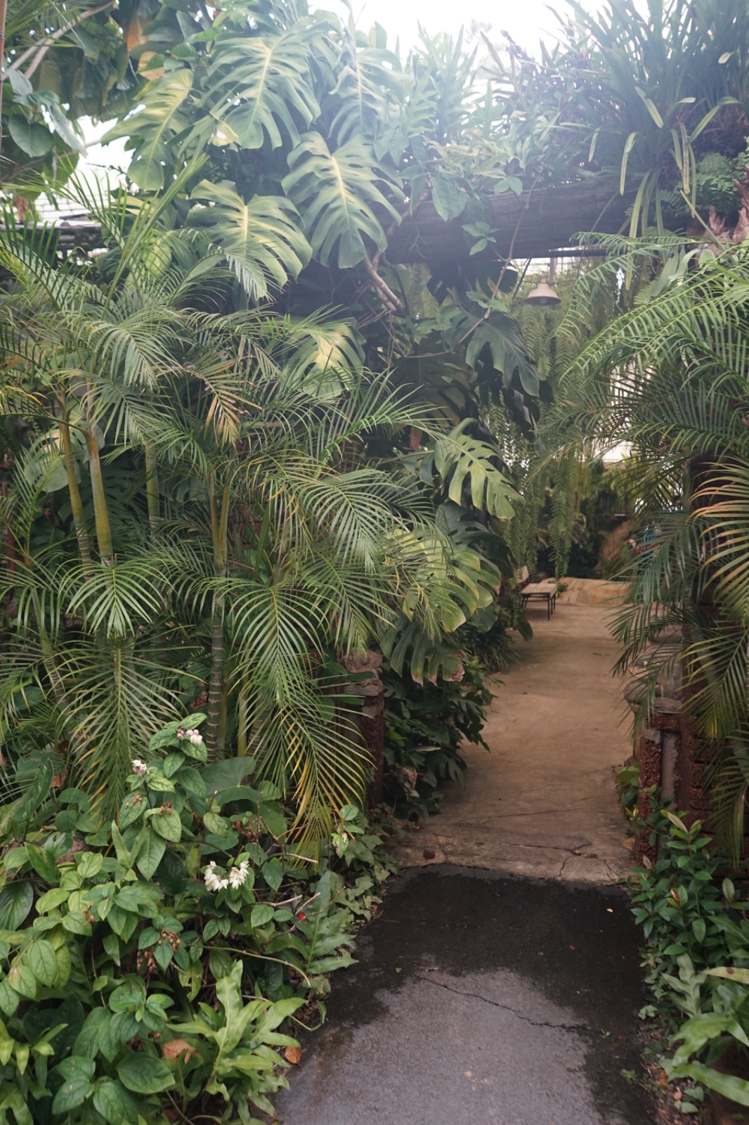 Humming Birds ambiance image 8