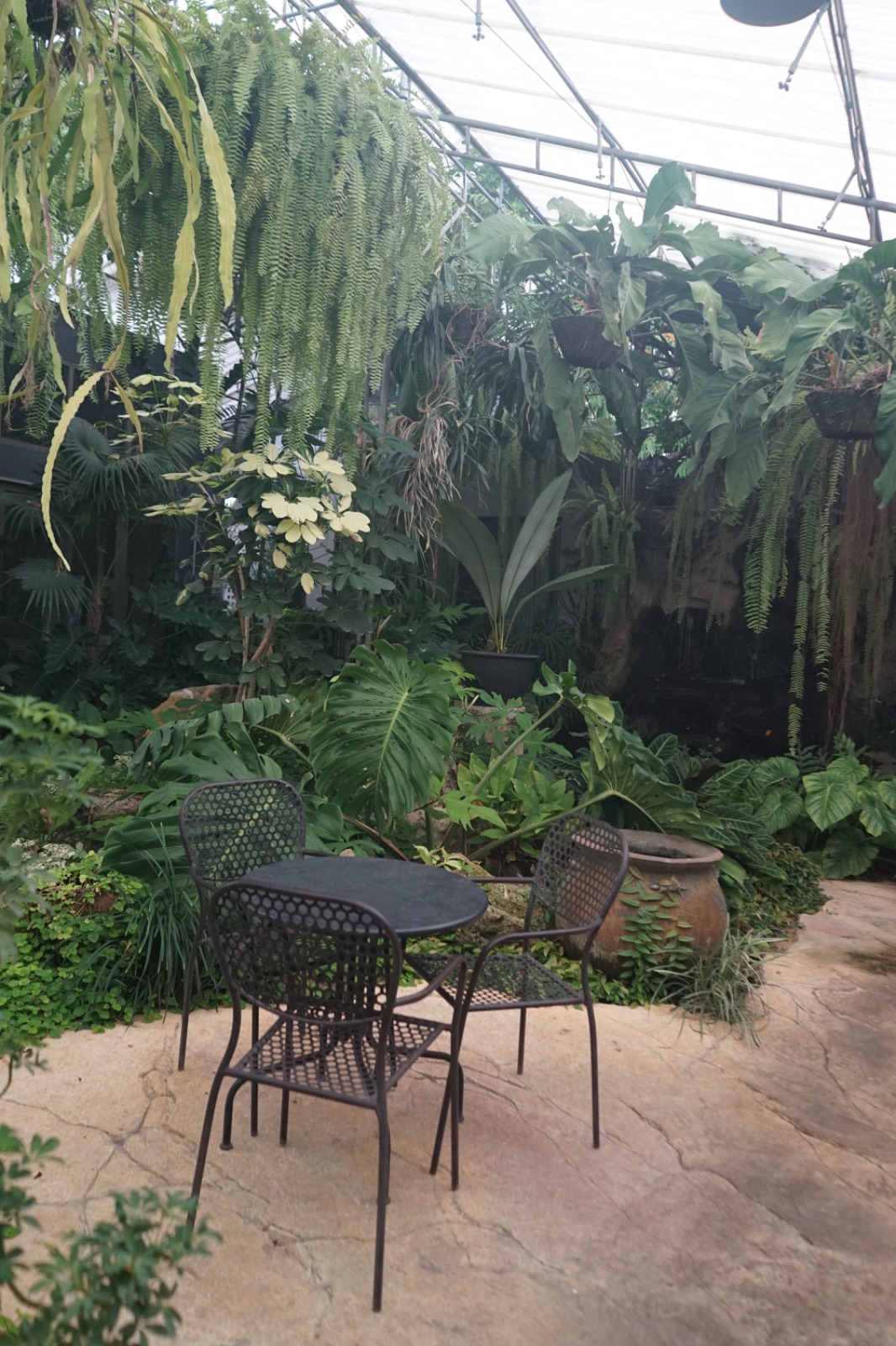 Humming Birds ambiance image 9