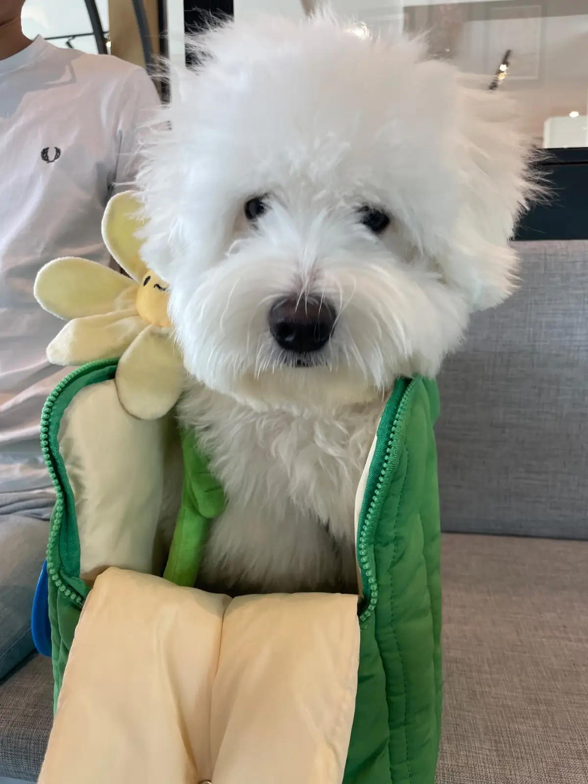 39/8 Espresso Bar pets image 1