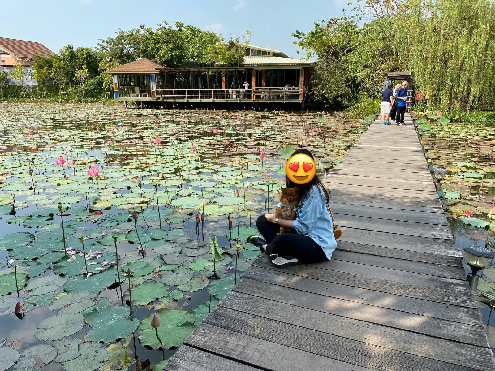 ธรรมชาติโอชา - Thammachart O Cha ambiance image 1