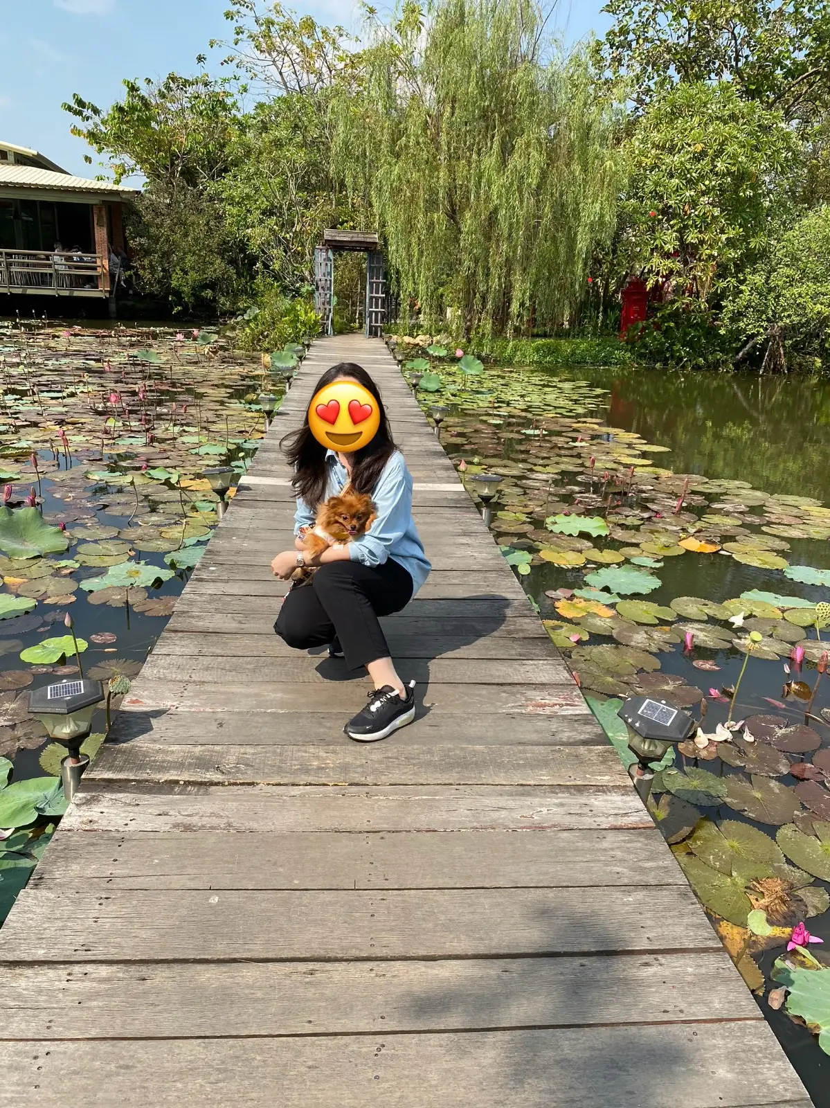 ธรรมชาติโอชา - Thammachart O Cha ambiance image 2