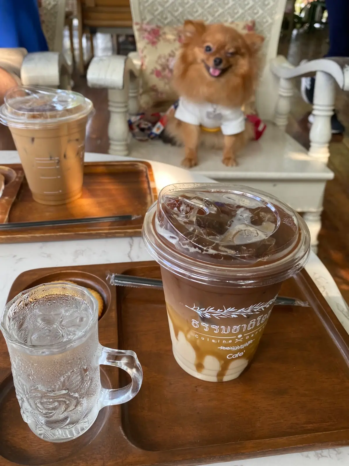 ธรรมชาติโอชา - Thammachart O Cha food image 1