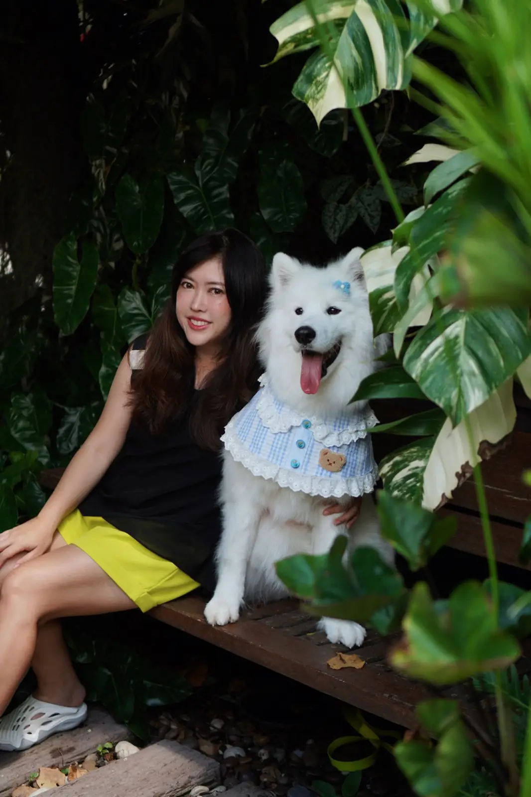 Mullberry House 94 Cafe And Home Stay pets image 3