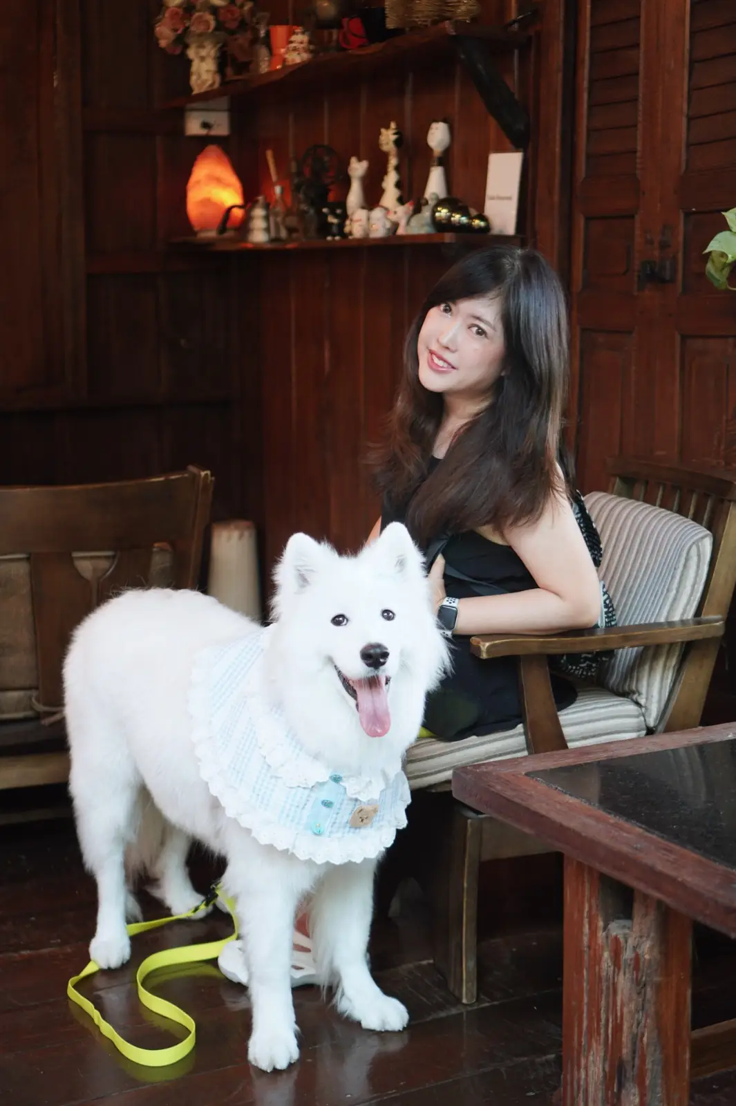 Mullberry House 94 Cafe And Home Stay pets image 2