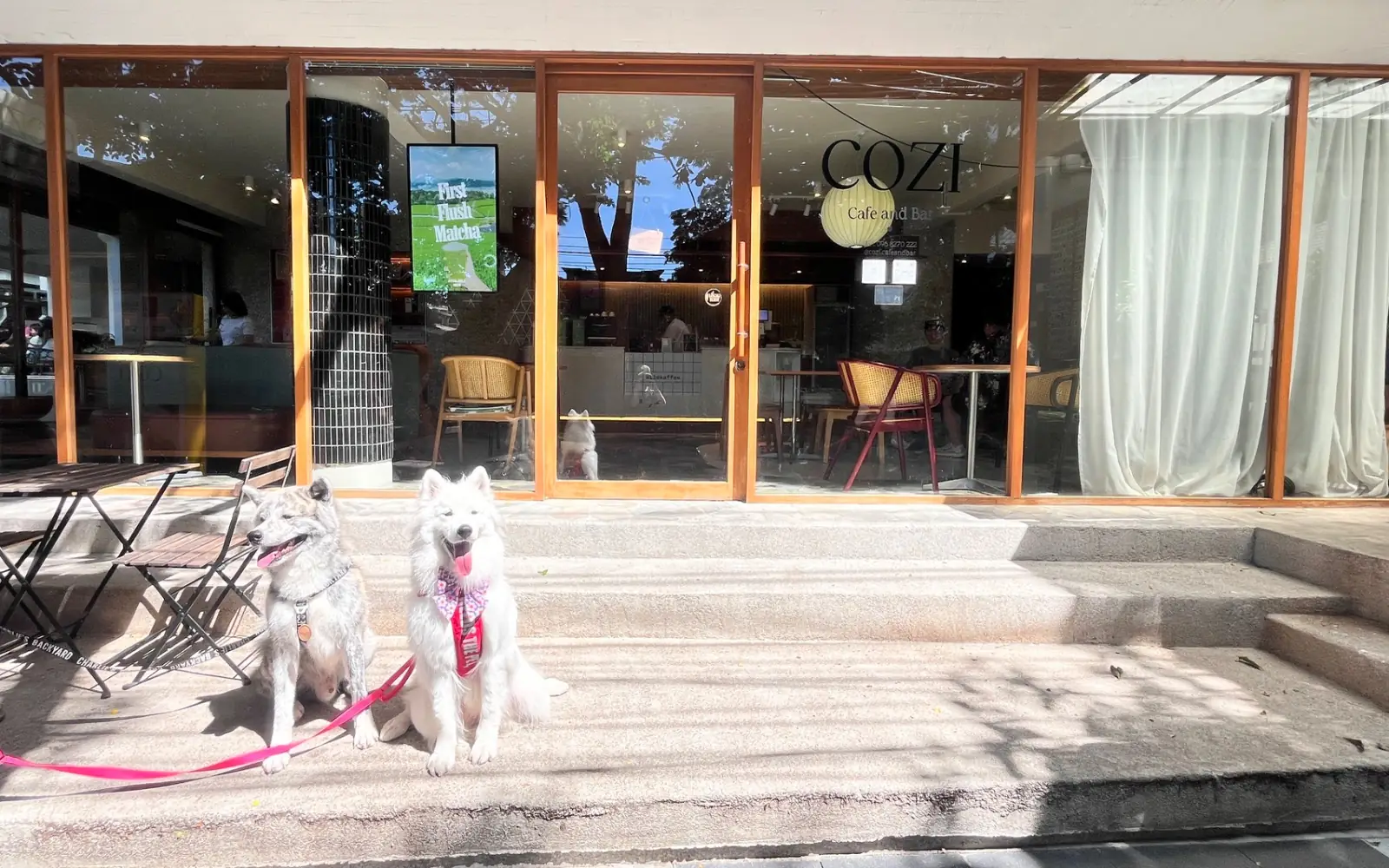 Cozi Cafe and Bar overall image 2