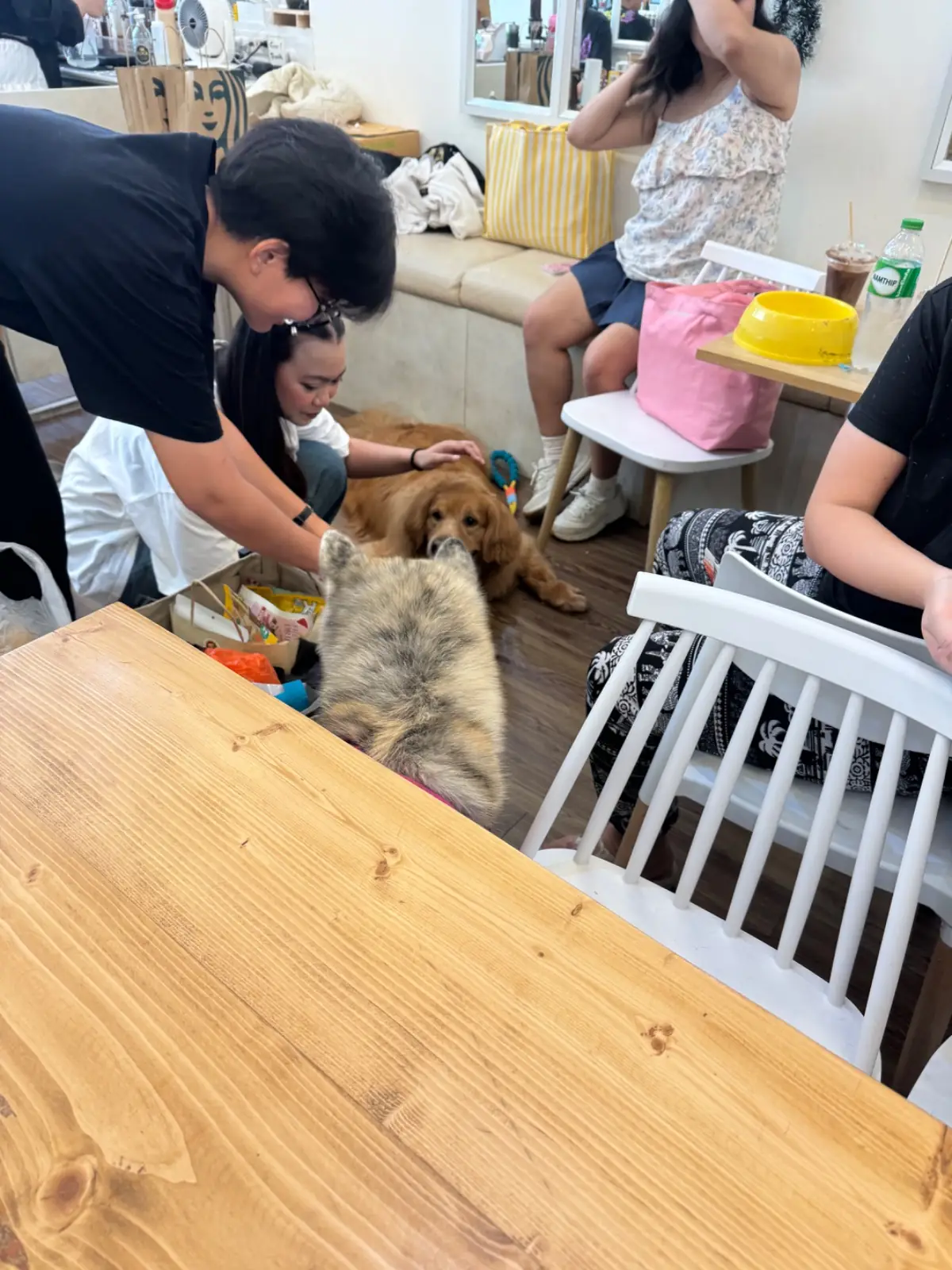 Handverk Slowbar CDC pets image 1