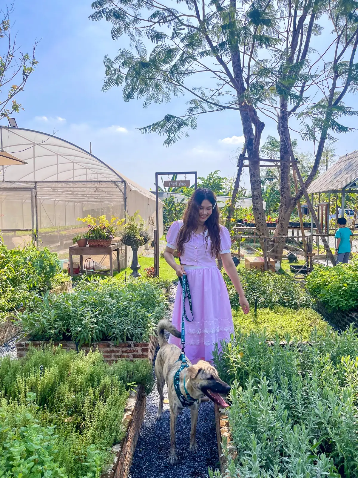 ทำสวนกับมาดาม pets image 1