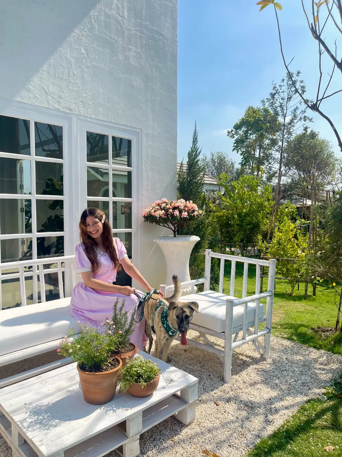 ทำสวนกับมาดาม pets image 2