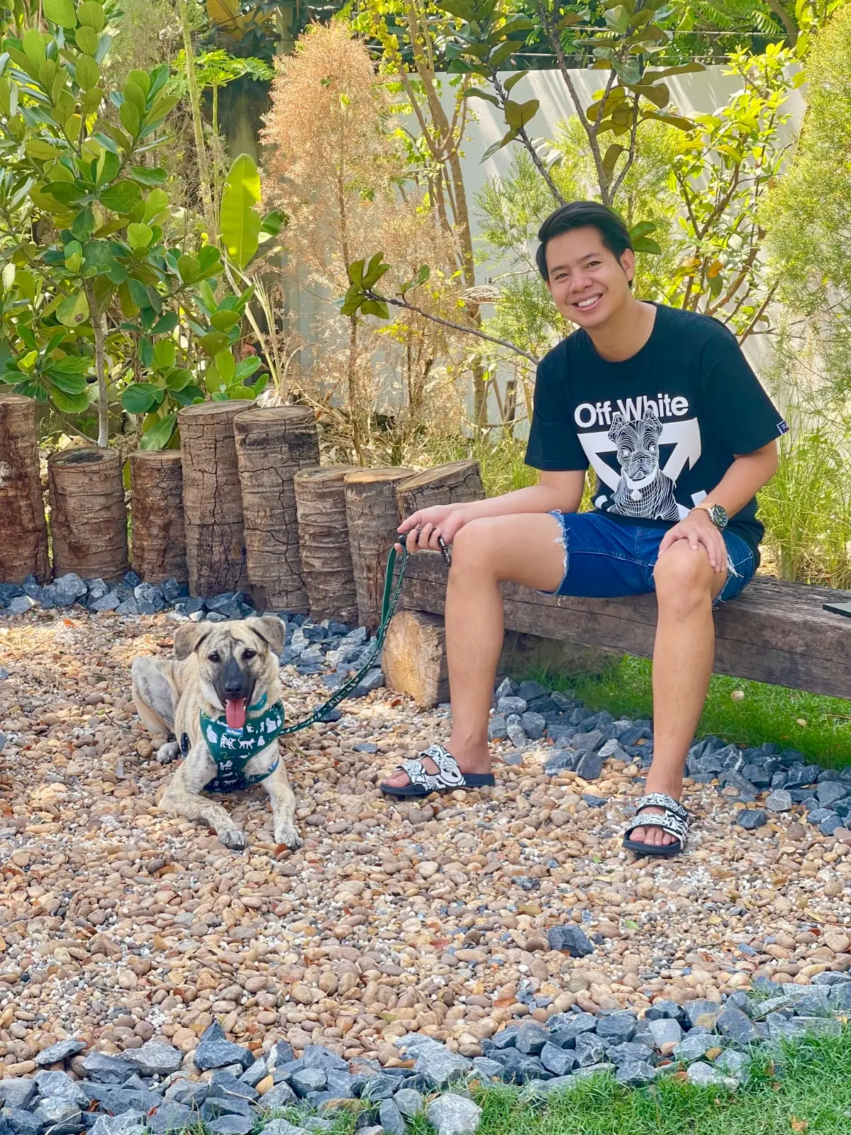 ทำสวนกับมาดาม pets image 6