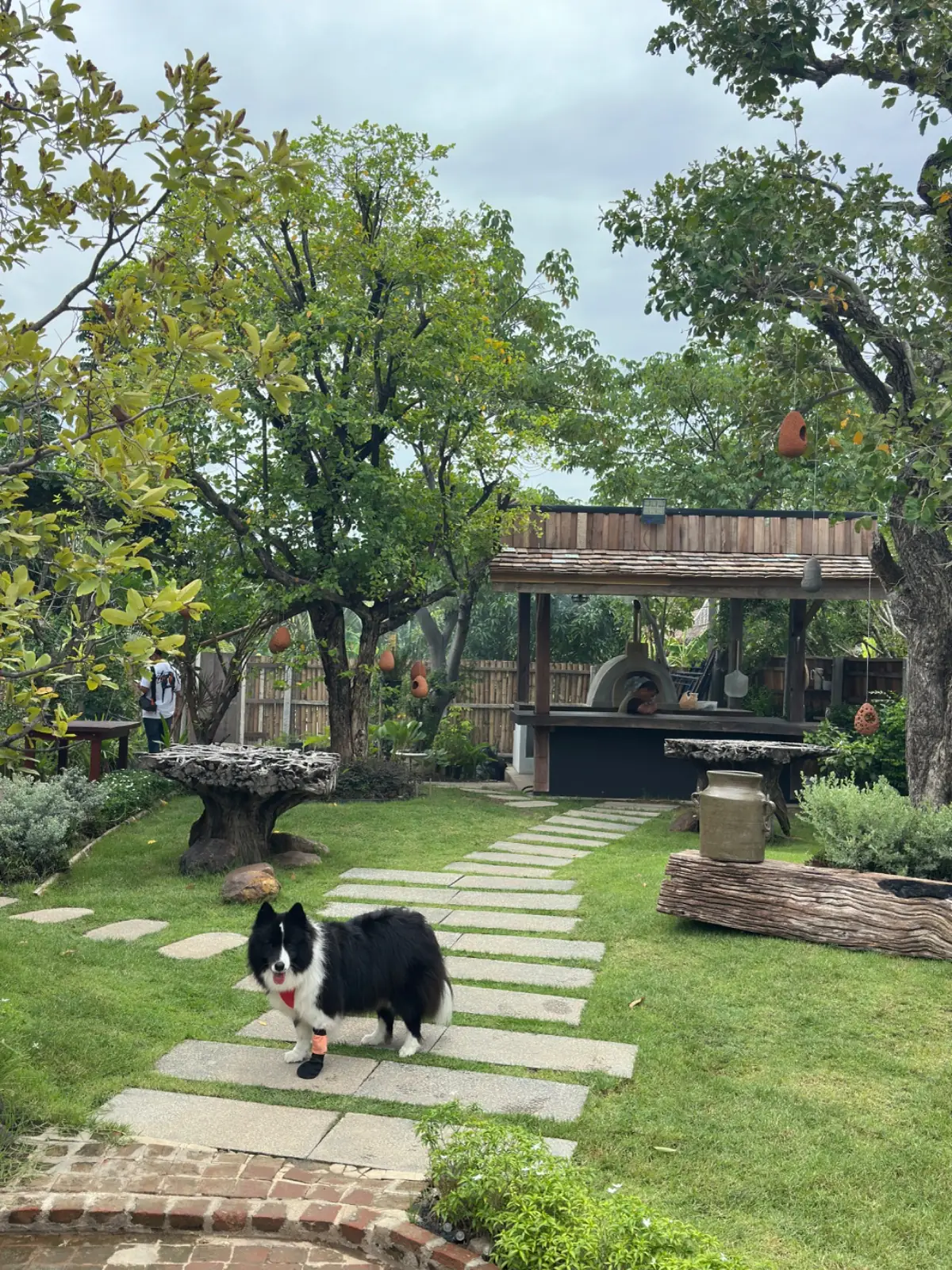 House of Time Cafe and Restaurant overall image 3